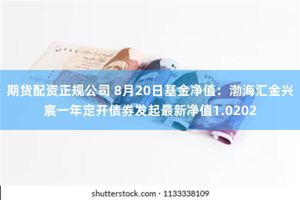 期货配资正规公司 8月20日基金净值：渤海汇金兴宸一年定开债券发起最新净值1.0202