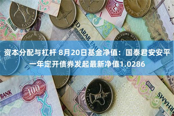 资本分配与杠杆 8月20日基金净值：国泰君安安平一年定开债券发起最新净值1.0286