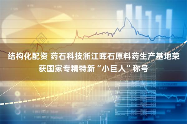 结构化配资 药石科技浙江晖石原料药生产基地荣获国家专精特新“小巨人”称号