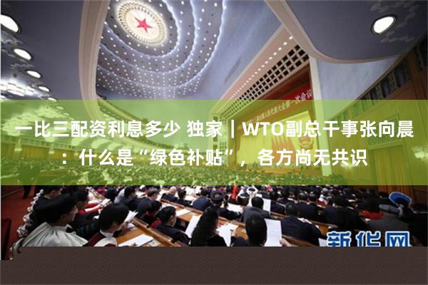 一比三配资利息多少 独家｜WTO副总干事张向晨：什么是“绿色补贴”，各方尚无共识