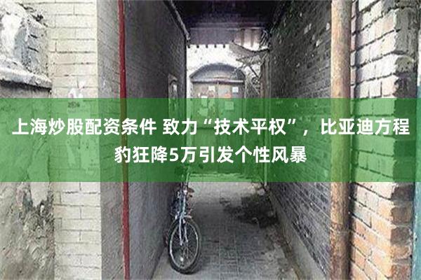 上海炒股配资条件 致力“技术平权”，比亚迪方程豹狂降5万引发个性风暴