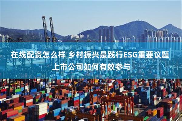 在线配资怎么样 乡村振兴是践行ESG重要议题 上市公司如何有效参与