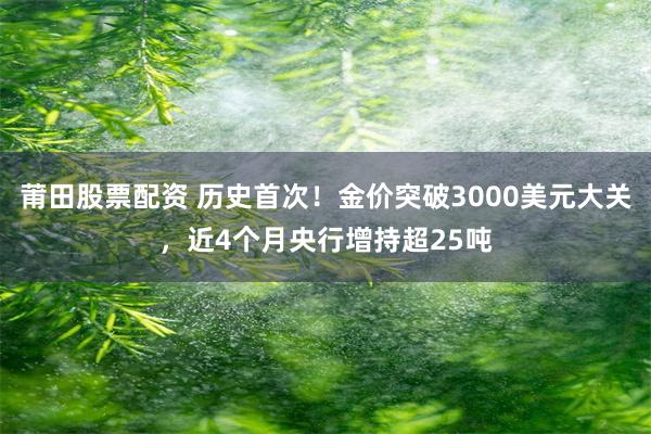 莆田股票配资 历史首次！金价突破3000美元大关，近4个月央行增持超25吨