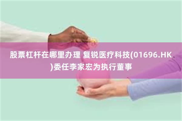 股票杠杆在哪里办理 复锐医疗科技(01696.HK)委任李家宏为执行董事