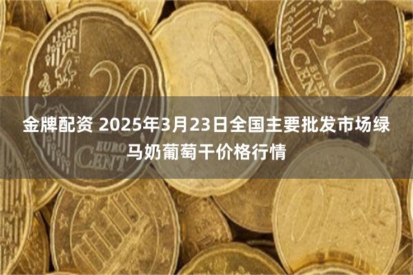 金牌配资 2025年3月23日全国主要批发市场绿马奶葡萄干价格行情