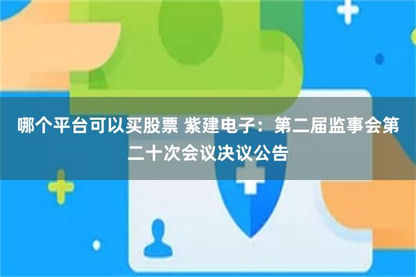 哪个平台可以买股票 紫建电子：第二届监事会第二十次会议决议公告