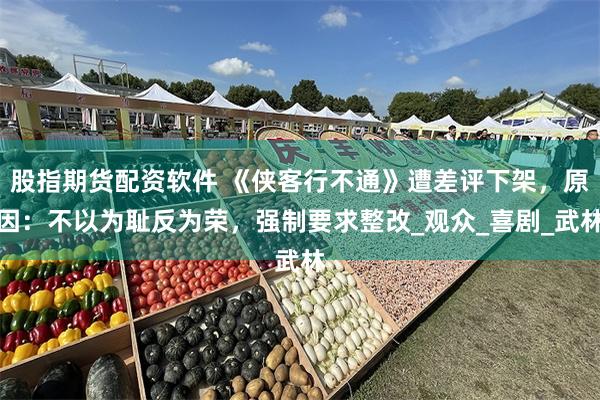 股指期货配资软件 《侠客行不通》遭差评下架，原因：不以为耻反为荣，强制要求整改_观众_喜剧_武林