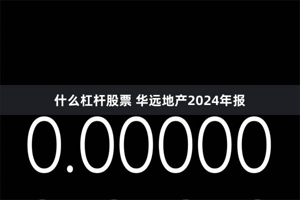 什么杠杆股票 华远地产2024年报