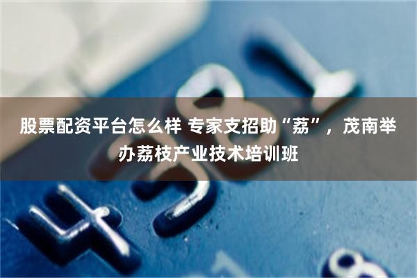 股票配资平台怎么样 专家支招助“荔”，茂南举办荔枝产业技术培训班