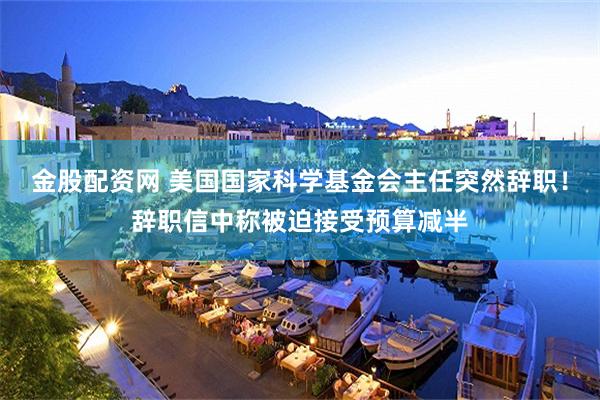 金股配资网 美国国家科学基金会主任突然辞职！辞职信中称被迫接受预算减半