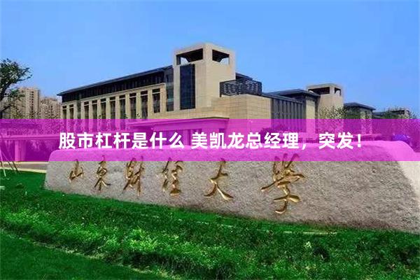 股市杠杆是什么 美凯龙总经理，突发！