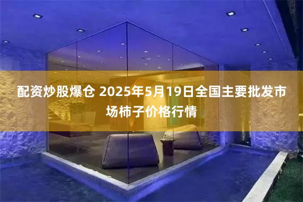 配资炒股爆仓 2025年5月19日全国主要批发市场柿子价格行情