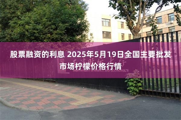 股票融资的利息 2025年5月19日全国主要批发市场柠檬价格行情