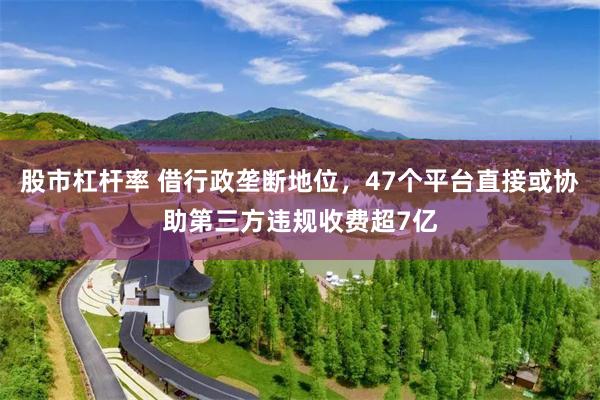 股市杠杆率 借行政垄断地位，47个平台直接或协助第三方违规收费超7亿
