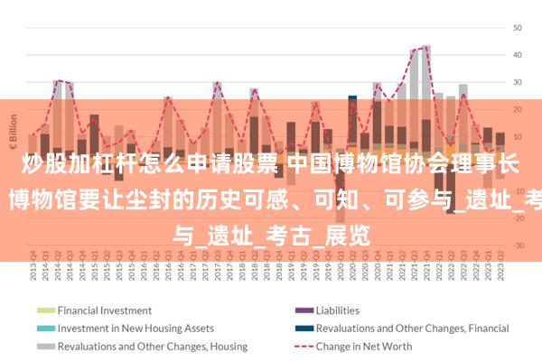 炒股加杠杆怎么申请股票 中国博物馆协会理事长刘曙光：博物馆要让尘封的历史可感、可知、可参与_遗址_考古_展览