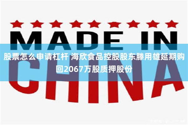 股票怎么申请杠杆 海欣食品控股股东滕用雄延期购回2067万股质押股份