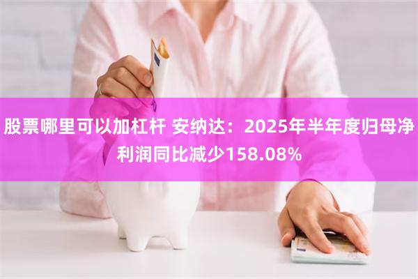 股票哪里可以加杠杆 安纳达：2025年半年度归母净利润同比减少158.08%