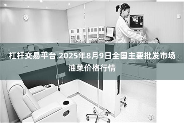 杠杆交易平台 2025年8月9日全国主要批发市场油菜价格行情