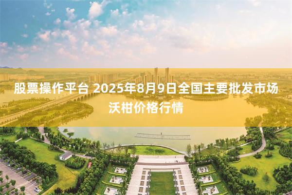 股票操作平台 2025年8月9日全国主要批发市场沃柑价格行情