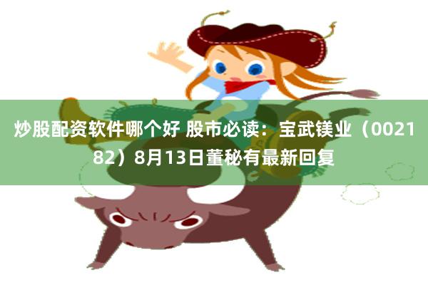炒股配资软件哪个好 股市必读：宝武镁业（002182）8月13日董秘有最新回复